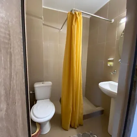 Dedy Guest house Costinesti