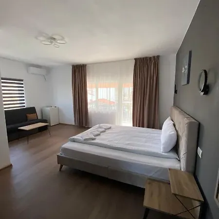 Dedy 2* Costinești