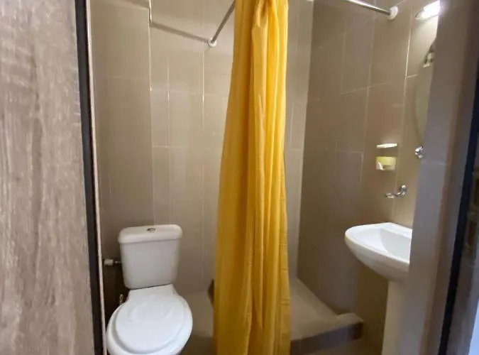 Dedy Guest house Costinesti